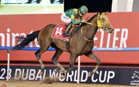 Dubai World Cup Outright Odds: Ushba Tesoro favourite to .